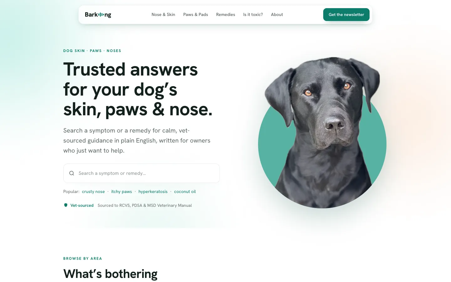 Barking’s website on a desktop: Trusted answers for your dog’s skin, paws & nose, with a symptom search box and a photo of a black Labrador.
