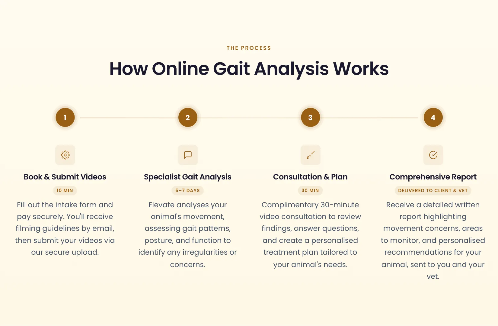 How Online Gait Analysis Works: four numbered steps, Book & Submit Videos, Specialist Gait Analysis, Consultation & Plan and Comprehensive Report.