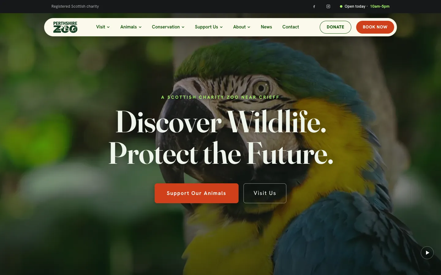 Perthshire Zoo's website on a desktop: Discover Wildlife. Protect the Future., with Support Our Animals and Visit Us buttons and Donate and Book Now in the header.