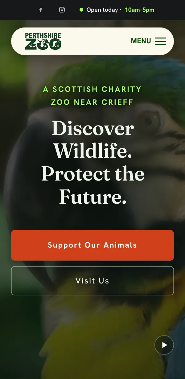 Perthshire Zoo's website on a phone: Discover Wildlife. Protect the Future., with today's opening hours.